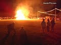 os panteras   viva a nossa tradição