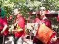 Os Panteras - Viva a Nossa Tradição