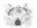 Snapshots of exercises practiced to support meditation training. All these exercises are intended to be practiced on the out breath, in order to develop relaxation and stillness, spaciousness and energy.  http://www.saticentre.org