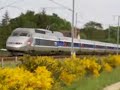 TGV A et Z21500 en pays de la Loire