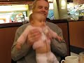 pineki jumping on daddy's lap