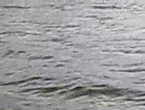 Plock Europe - Boat cruise after ...