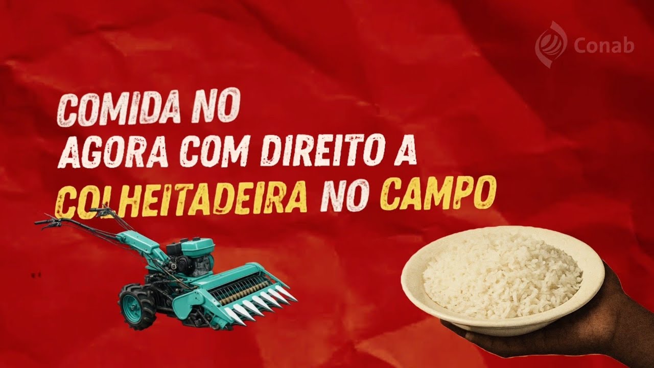 Programa Arroz da Gente: comida no prato da gente, agora com direito a colheitadeira no campo