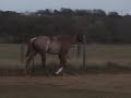 RFF Party Time Walk
