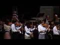 Fiddle-Faddle