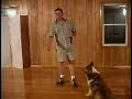 Dog Training - Stay (www.AmazingDogTrainingMan.com)