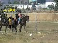 Un dia cualquiera de la policia montada en el Parke de la Amistad, tijuana..Que amistosos los polis!!