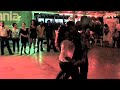 Zouk @ Curacao Salsatour 08