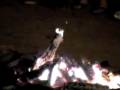 videos de From Campfire (2001)
