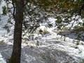videos de Steve and Orlin at the Porcupine Mountains 10-4-08