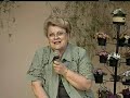 V� Teot�nia - Elei��es 2004