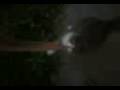 videos de Glaucoma jugando by STL