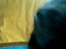 M�ster en M�rtola