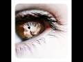 clip video Bell Oeil Elle Ne Supporte Plus