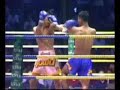 Muay thai knockouts