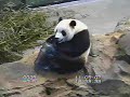 Tai and his little JUG