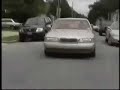 If Your Car Horn Could Speak- Buckwild and Ridiculous