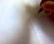 (uploaded by Toxicity)&nbsp;Shocking Pen