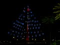 Ponte Estaiada Octavio Frias de Oliveira - Maravilhosa decoração - Natal iluminado 2008 Cidade de São Paulo - Árvore gigante!