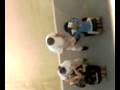 videos de Asian Masseuse