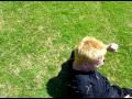 videos de me jumping to my death