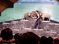 Agrodome Sheep Show 1