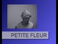 harmonica   petite fleur