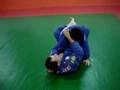 Brazilian Jiu-Jitsu... View Video