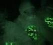 B-Live Lektroluv virus GUERRILLA!