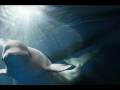 Angels of Cook Inlet - Spadecaller