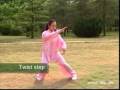 Tai chi 10 form with english titles Video
