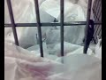 Walmart Kart.mp4