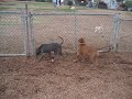 at the park at the park