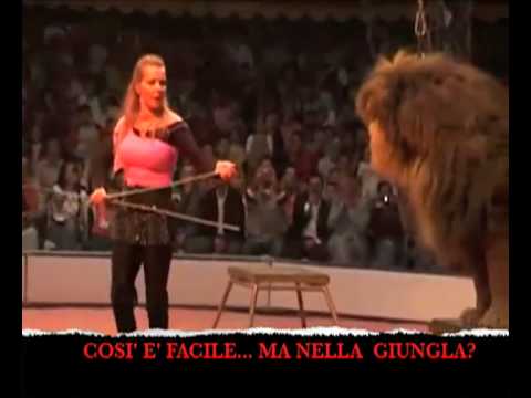 Vedi il video
