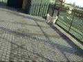 videos de Babel zamyka furtke