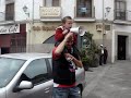Zamora-Rayo \"El peke�o franjirojo\"