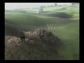 More Secrets in Shadow of the Colossus More Secrets in Shadow of the Colossus