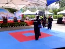 中華武術散打搏擊協會2008K-1優勝《排灣勇者》楊東雄，2007北京格鬥優勝《格鬥小天王》范仲杰率本會黑、褐帶好手黃國洋、鄭宇哲、張傑、阿岳、阿倫等做散打搏擊系列精采展演