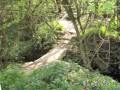 Emley