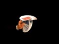 Ciappi challenge #6 video Ciappi challenge #6 video