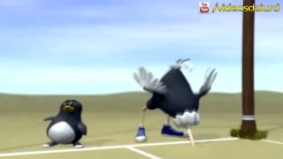 Video Motivacional - O Avestruz e o Pinguim