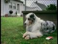 Obejrzyj materiał wideo
