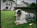 Obejrzyj materiał wideo Obejrzyj materiał wideo