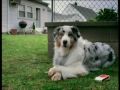 Obejrzyj materiał wideo