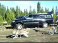 La Pine Oregon Mushing Weekend - Karen Yeargain w/ Scooter