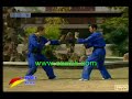 Southern Shaolin Kung Fu: Arhat 18 Fist 574 coohk Southern Shaolin Kung Fu: Arhat 18 Fist 574 coohk