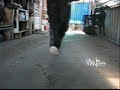 VinNiie Cwalks VinNiie Cwalks