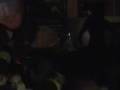 DJ ReLLiK - Festa do Orkut