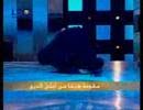 HAYFA-WEHBE-FALL-DOW