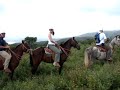 Costa Rica Horseback Ride